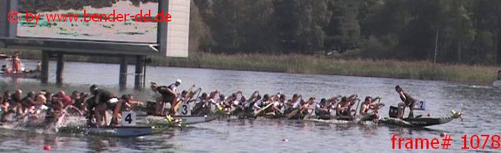 1078.jpg