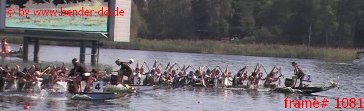 1081.jpg