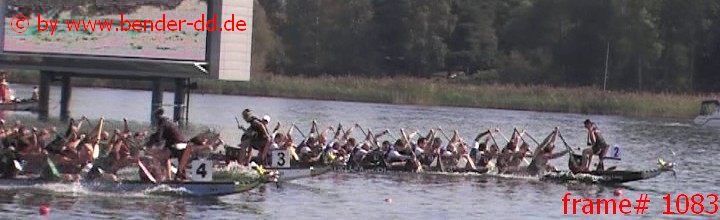 1083.jpg