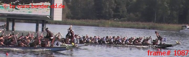 1087.jpg