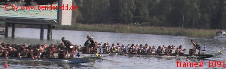 1091.jpg