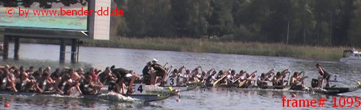 1095.jpg