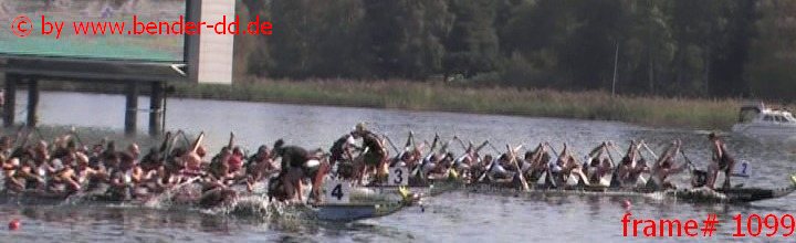 1099.jpg