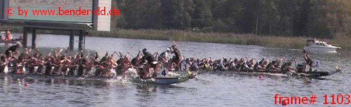 1103.jpg