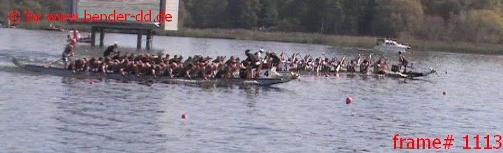 1113.jpg