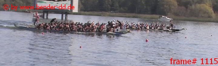 1115.jpg