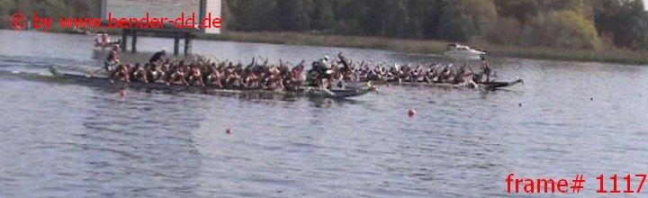 1117.jpg