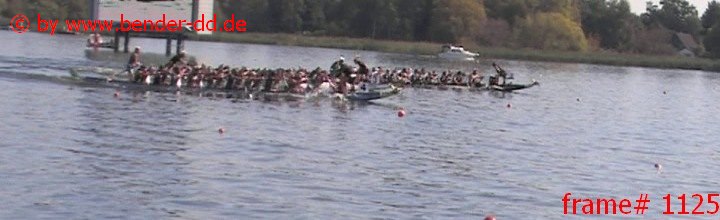 1125.jpg