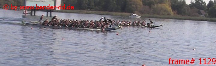 1129.jpg