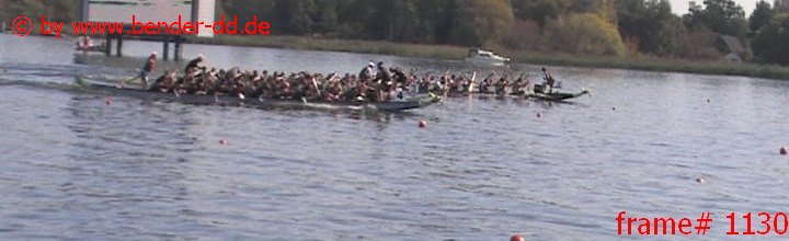 1130.jpg