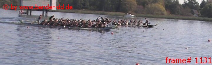 1131.jpg