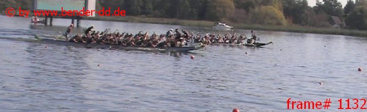 1132.jpg