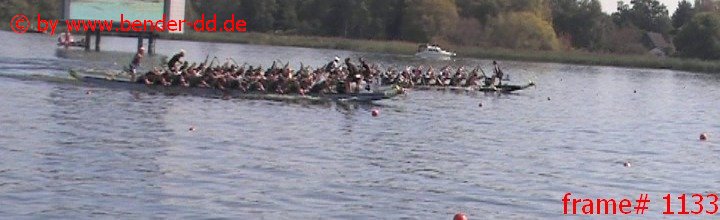 1133.jpg