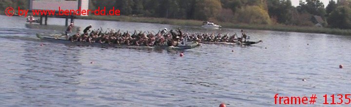 1135.jpg