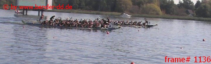 1136.jpg