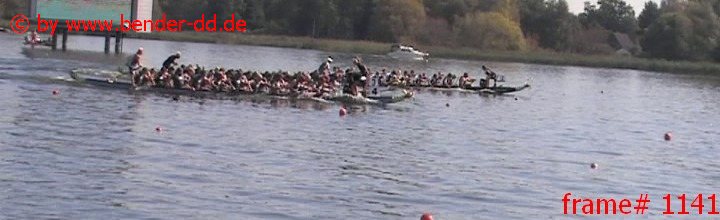 1141.jpg