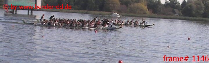 1146.jpg
