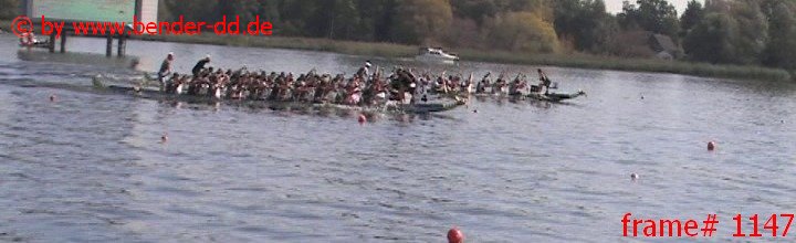 1147.jpg