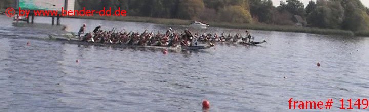 1149.jpg