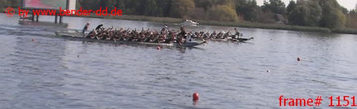 1151.jpg