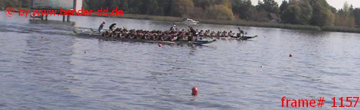1157.jpg