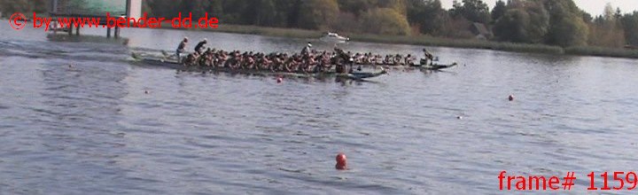 1159.jpg
