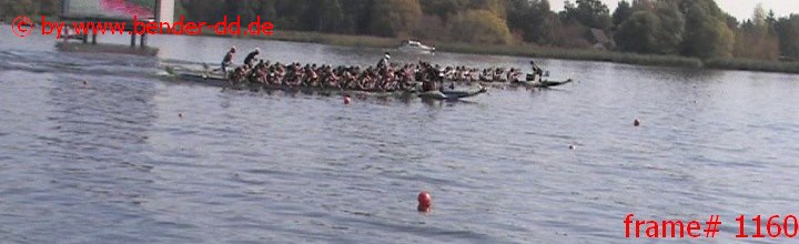 1160.jpg