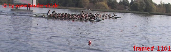 1161.jpg