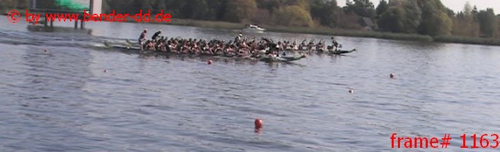 1163.jpg