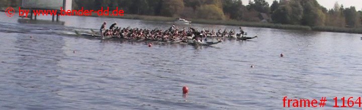 1164.jpg