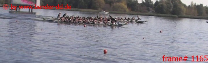 1165.jpg