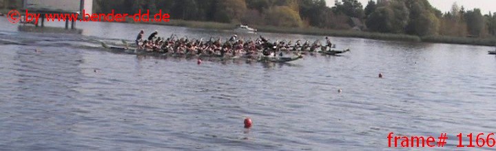 1166.jpg