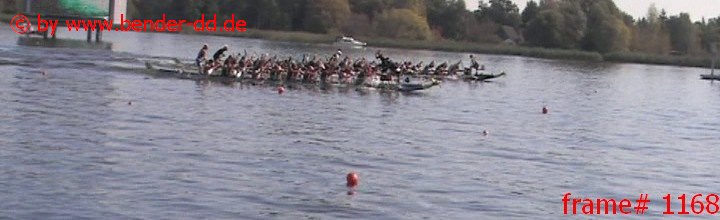 1168.jpg