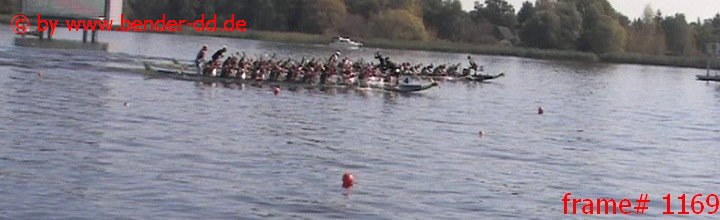 1169.jpg