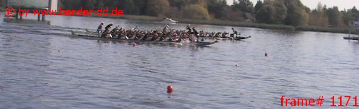 1171.jpg