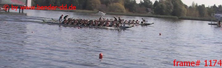 1174.jpg
