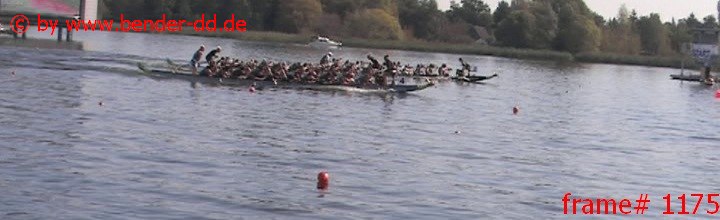 1175.jpg