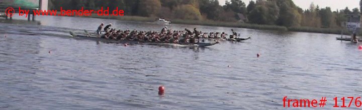 1176.jpg