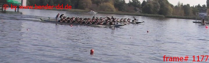 1177.jpg