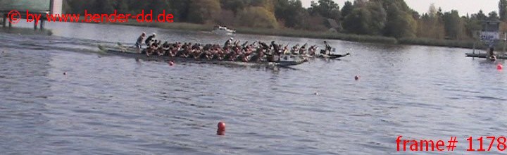 1178.jpg