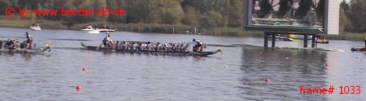 1033.jpg