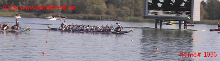 1036.jpg