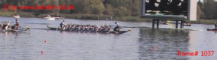 1037.jpg