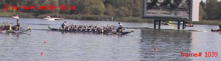 1039.jpg