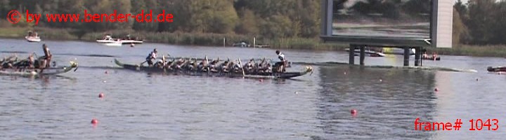 1043.jpg