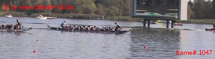 1047.jpg