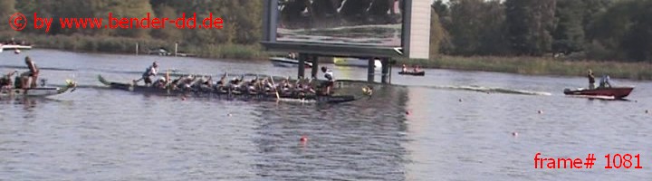 1081.jpg