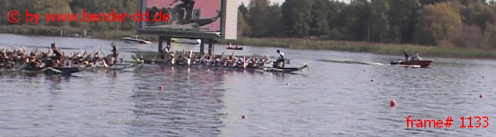1133.jpg