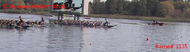 1135.jpg