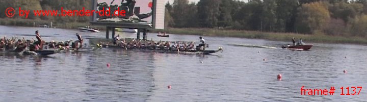 1137.jpg